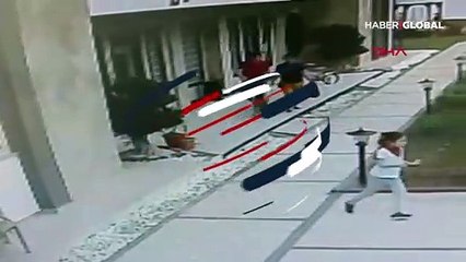 Anne kedi, köpekli çifte zor anlar yaşattı