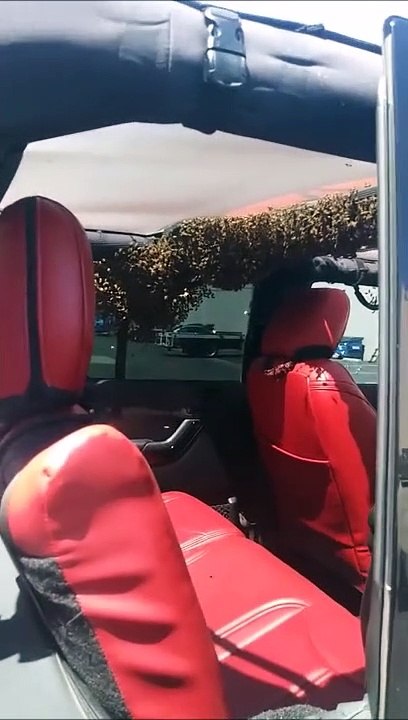 Un essaim d'abeilles a pris cette voiture pour une ruche