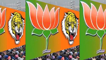 Maharashtra Election: 17.01 Percent Turnout Till 12 PM