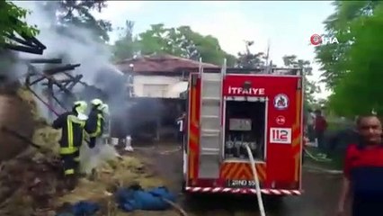 Yangının ortasında kalan ineği itfaiye ekipleri kurtardı