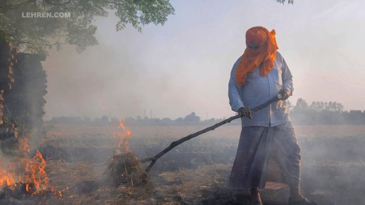 Why farmers burn stubble that causes air pollution every year? video