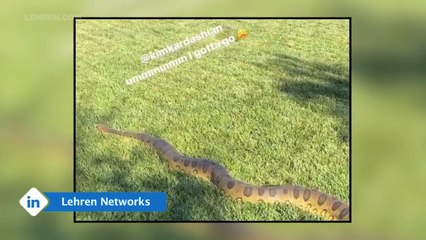 Kris Jenner freaks out after spotting an Anaconda in Kim's backyard