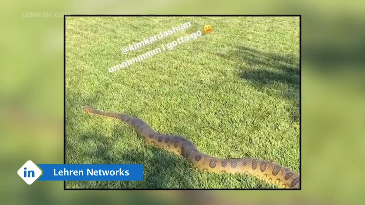 Kris Jenner freaks out after spotting an Anacon...