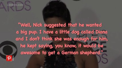 Nick Jonas & Priyanka Chopra Wanted To Bring A Puppy To The Golden Globes 2020!