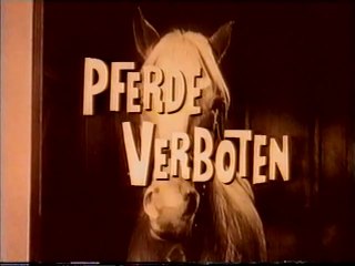 Mr. Ed - 046. Pferde verboten