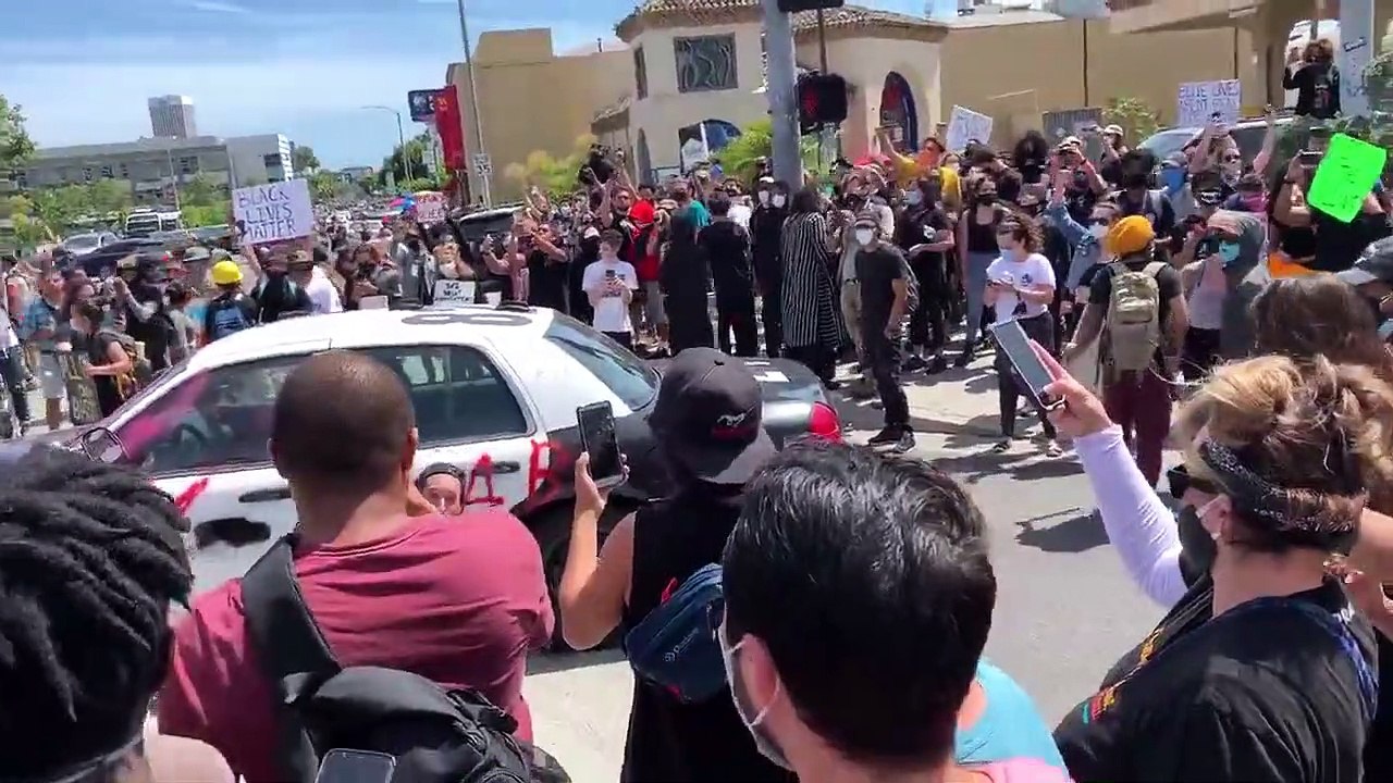 Los Angeles Protesterslo