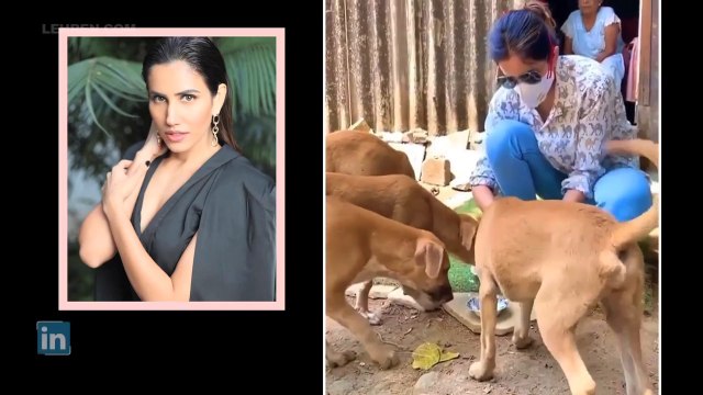 Bollywood Actresses Feeding Stray Dogs During Lockdown