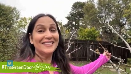 Lockdown च्या काळात अश्विनी भावे सोबत तिच्या गार्डनचा  टूर