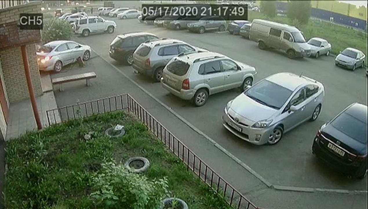 Car Reverses Over Unsuspecting Pedestrian