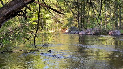 Dave's Falls, Amberg, Wisconsin