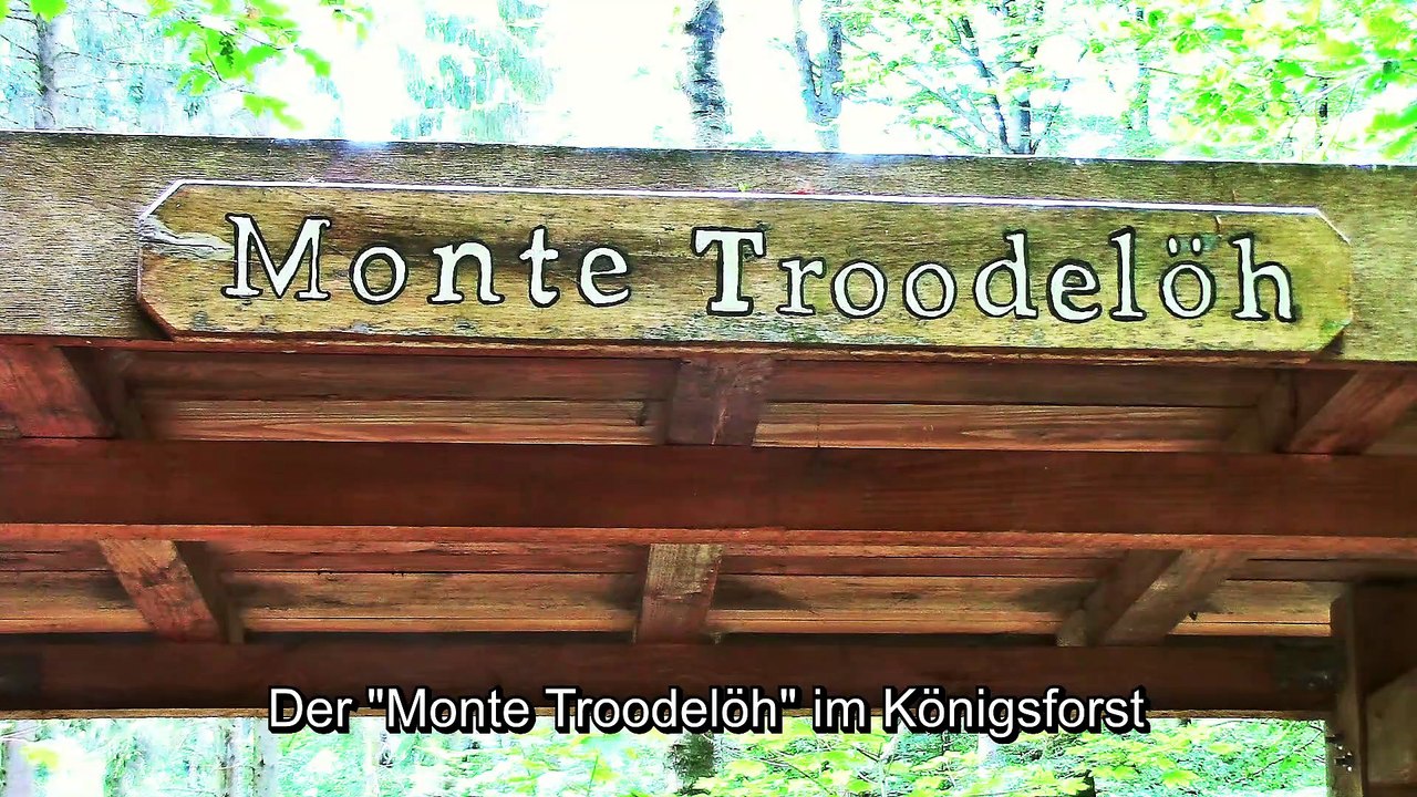 Der Monte Troodelöh von Köln