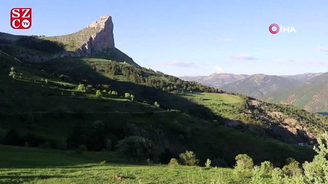 Hazin hikayesi ile duygulandırıyor, görüntüsü ile büyülüyor