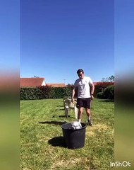 Entraînement du 31 mai au 6 juin