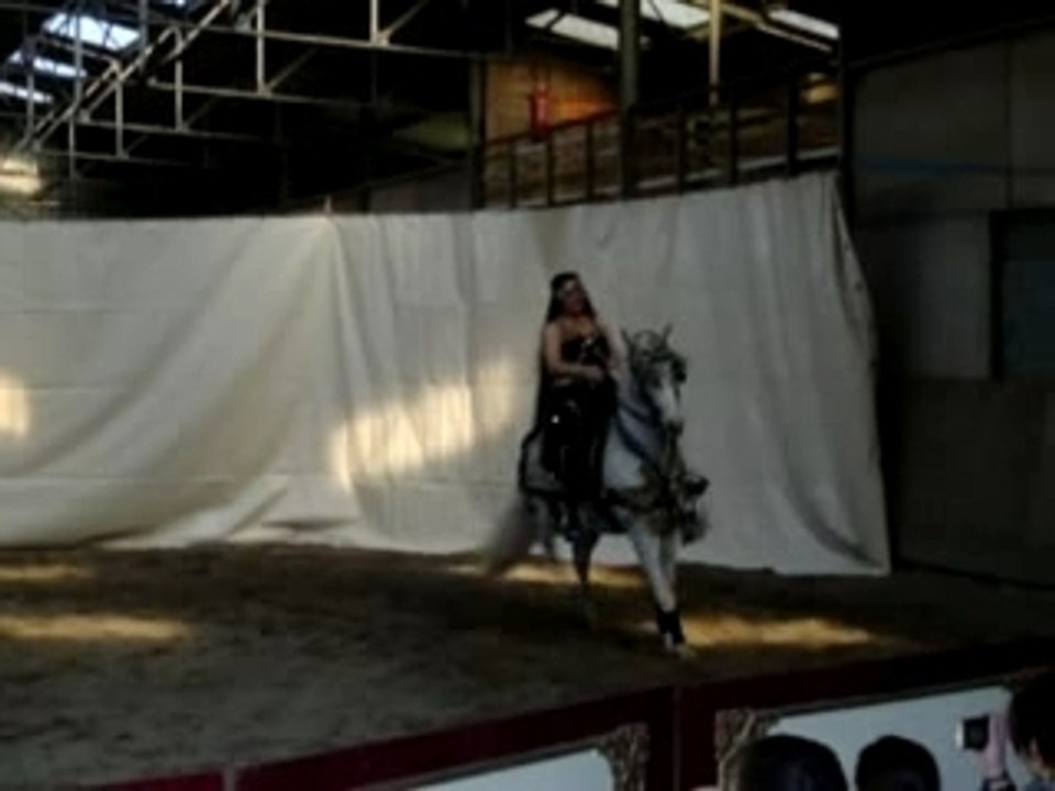 Spectacle Equestre Lothéa (17.02.2008)
