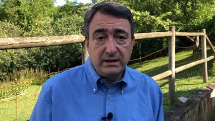 Esteban valora el acuerdo para apoyar la prórroga del estado de alarma