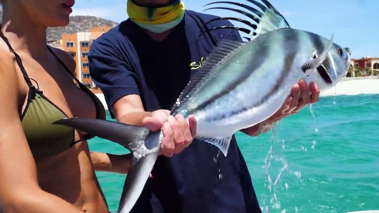 BAJA Highlights!