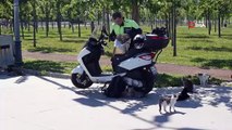 'Kazasız Kul Olmaz' ekibinden sokak hayvanlarına mama desteği