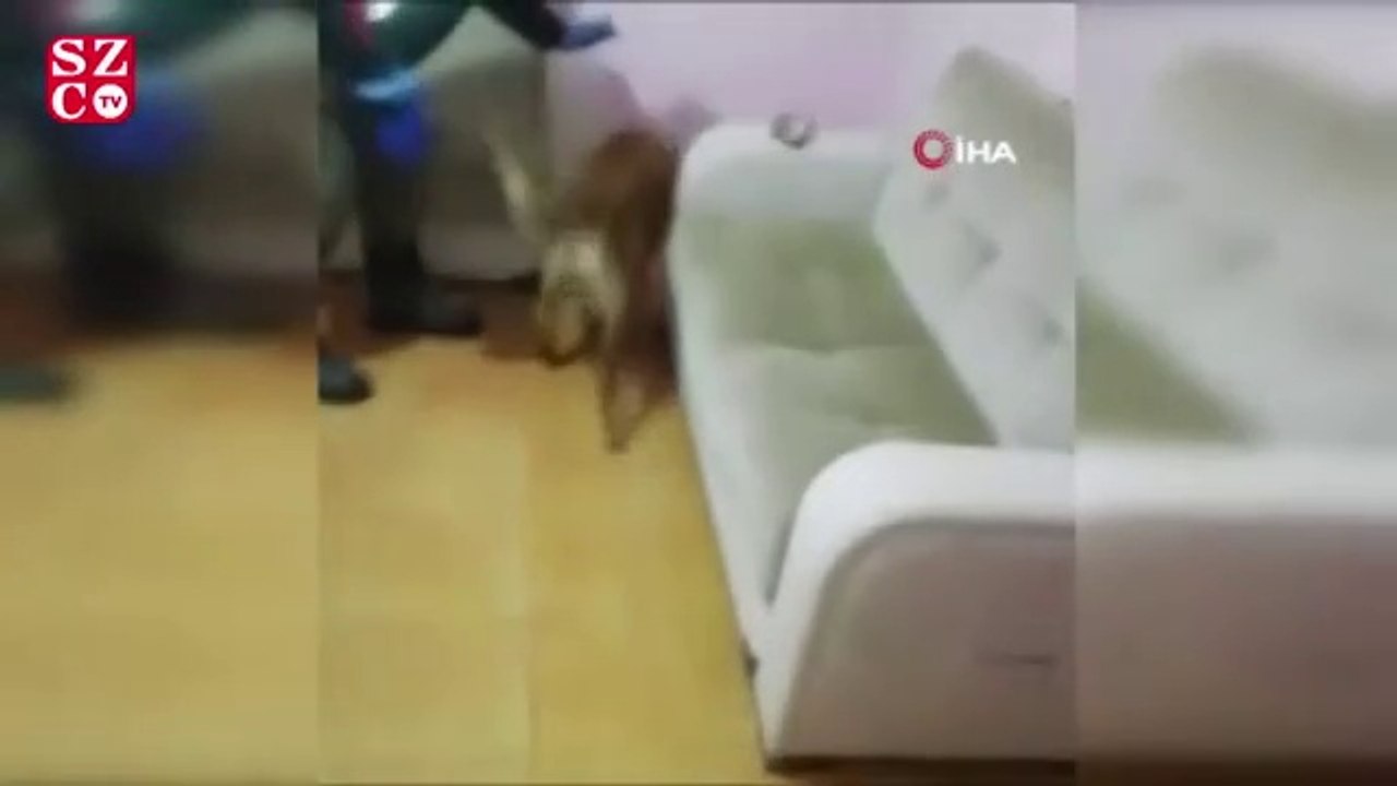 Bursa'da polis ekipleri 11 kilo uyuşturucu ele geçirdi