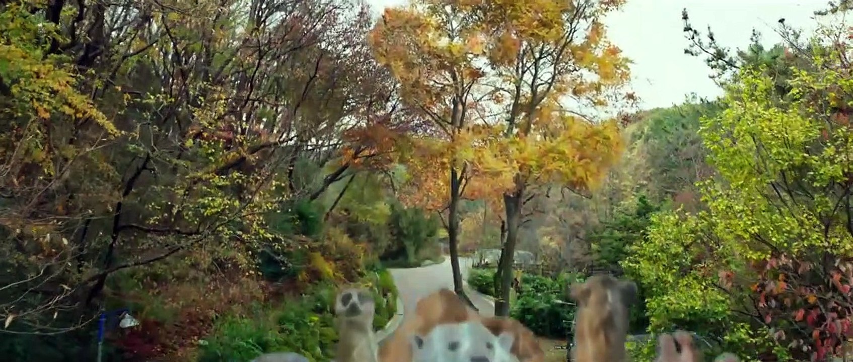 Rettet den Zoo Film Stream Deutsch / German Online Kostenlos 2020