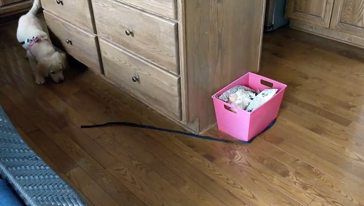 Almost Endless Indoor Exercise