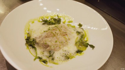 المطبخ اليوناني الجديد