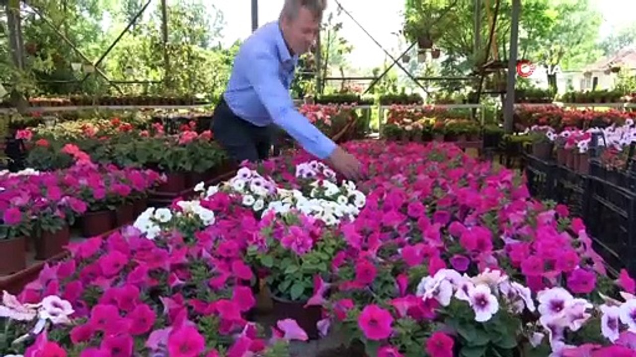 Koronavirüs Çiçek Satışlarını Artırdı