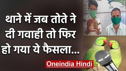 Rajasthan में 2 तोतों की 'गवाही' से सुलझा केस, खुशी से झूम उठा पुलिस थाने में लड़का | वनइंडिया हिंदी