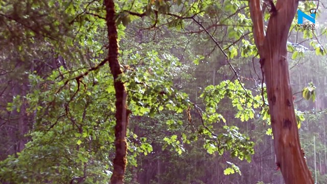 Rain brings respite from scorching heat in Delhi-NCR