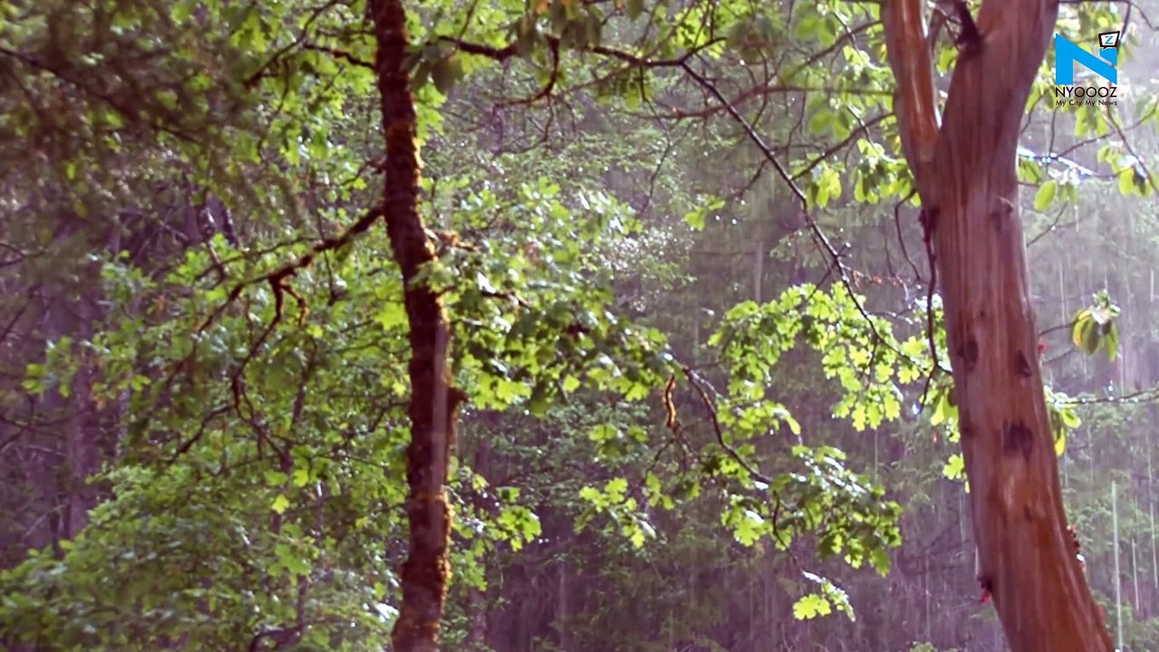 Rain brings respite from scorching heat in Delhi-NCR
