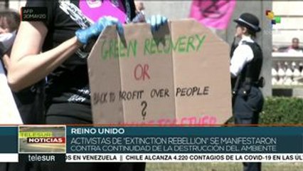 Ecologistas denuncian la continuidad de la destrucción al ambiente