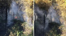 Aydos Ormanı’ndaki yangın kontrol altına alındı