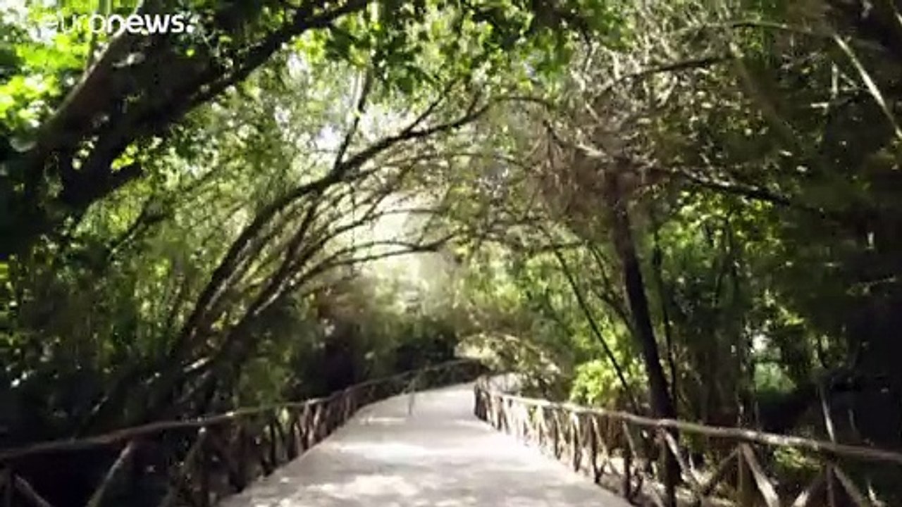 Eintritt frei: Sizilien öffnet Museen und Ausgrabungsstätten