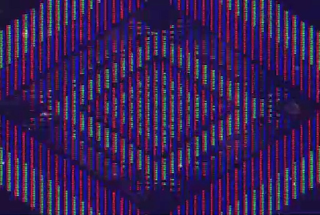 MVGEN: Raimee  :  Chasing Shadows