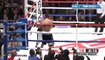 Jorge Linares vs Francisco Contreras (10-11-2013) Full Fight