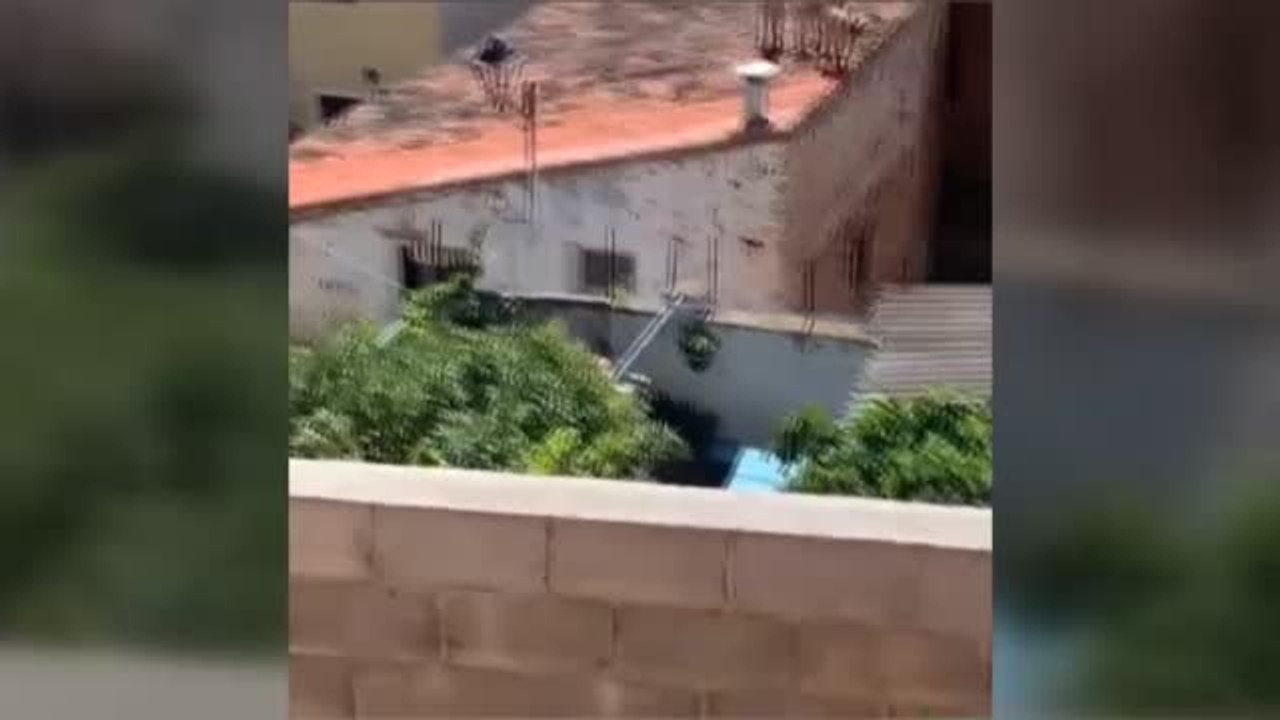 Un grupo de cabras montesas sorprende a los vecinos de una localidad zaragozana saltando sobre sus tejados