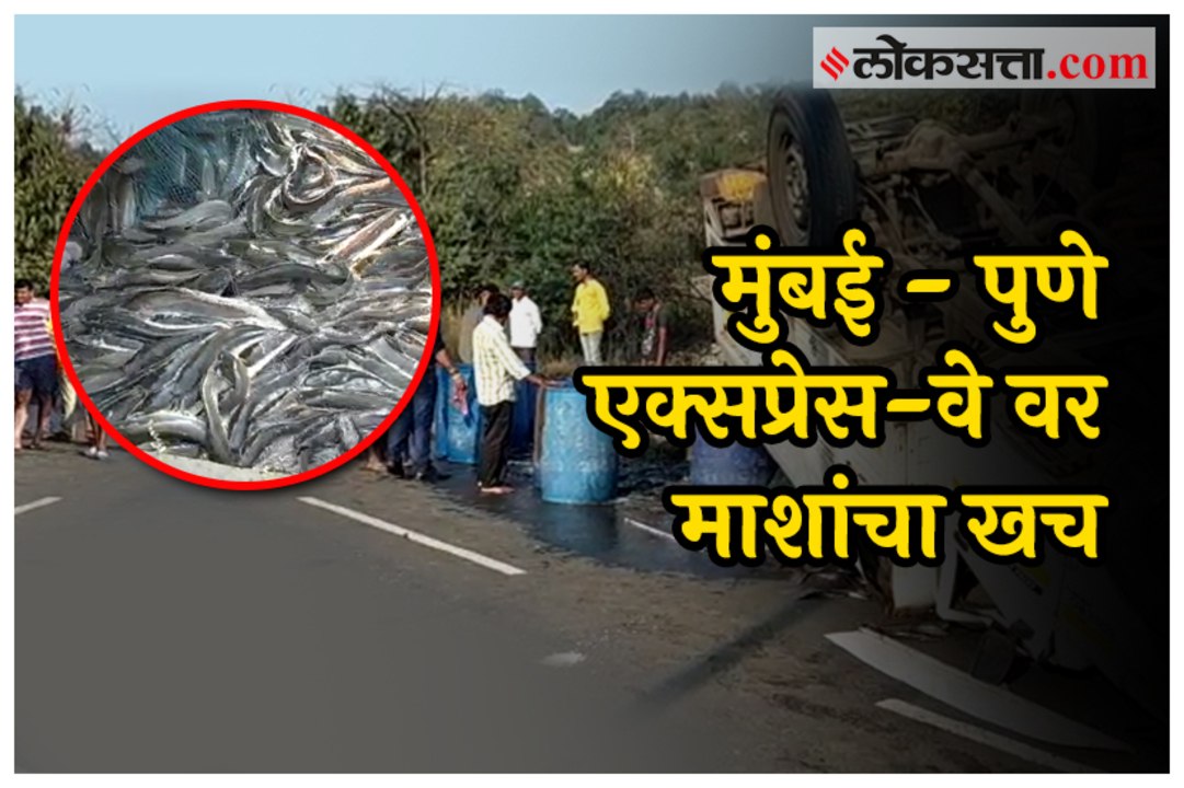 Fish cost after accident on Mumbai-Pune National Highway