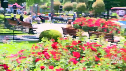 Son dakika... 65 yaş üstüne 3. sokak izni