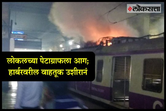 Harbour Railway Trains Delayed Vashi Station Pantograph Man Throws Bag