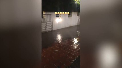 Popular Pune Actress 🎬