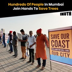 Hundreds Of People In Mumbai Join Hands To Save Trees