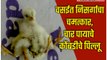 Vasai witnesses natural miracle, chicken with four legs