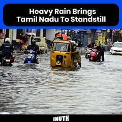 Heavy Rains Brings Tamil Nadu To Standstill