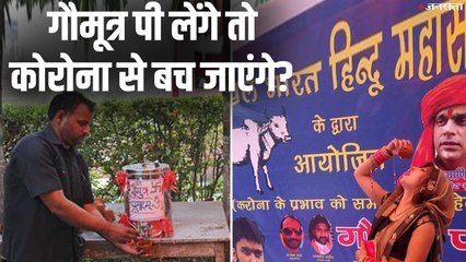 क्या सेहत के लिए फायदेमंद है गौमूत्र, जानें कोरोना से बचाने के लिए है कितना कारगर