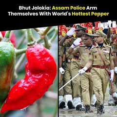 Bhut Jolokia: Assam Police Arm Themselves With World's Hottest Pepper