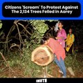 Citizens 'Scream' To Protest Against The 2,134 Trees Felled In Aarey