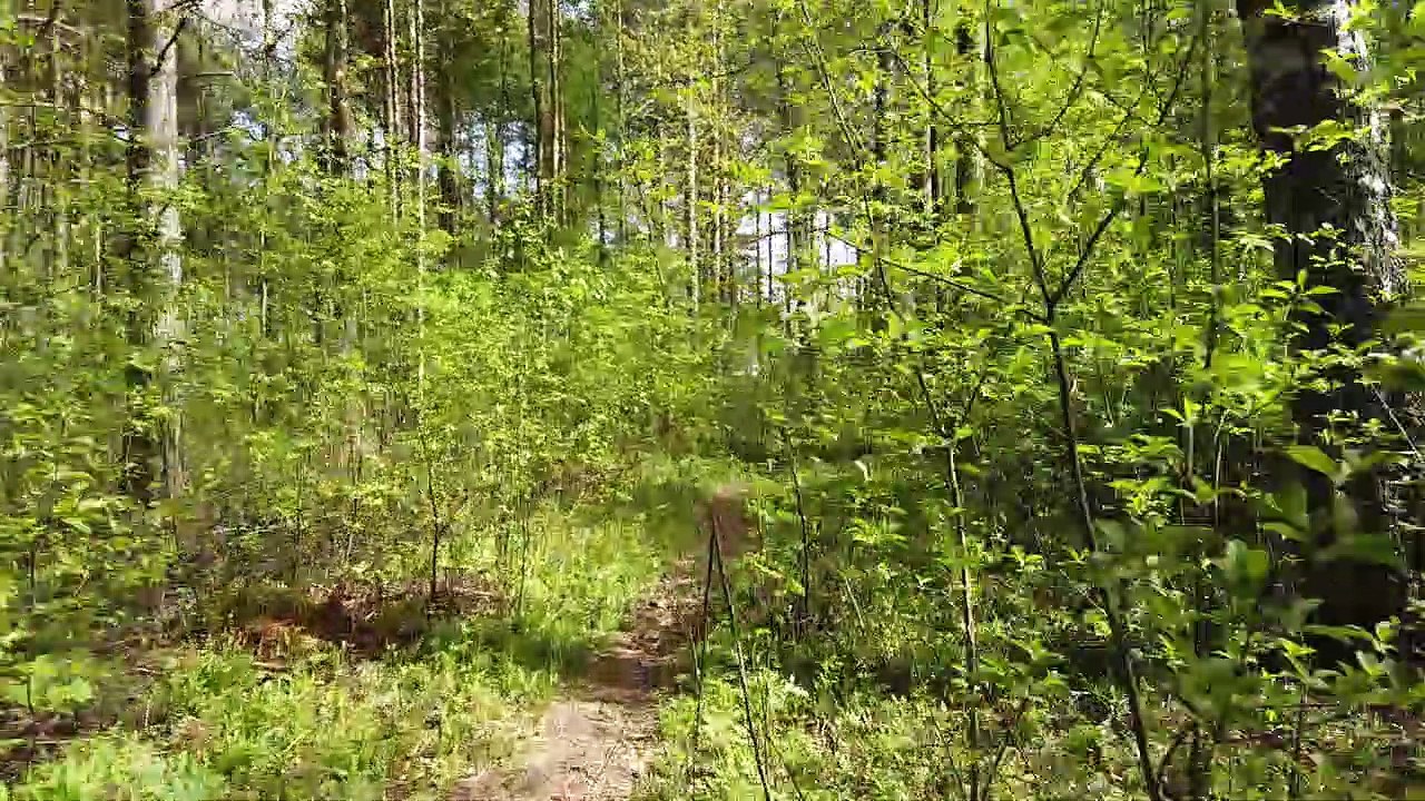 Nallikari - Hietasaari - Pikisaari - Oulun kauppatori