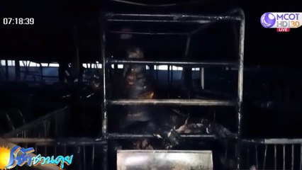 สลด! ไฟไหม้ฟาร์มย่างสดหมูกว่า 100 ชีวิต