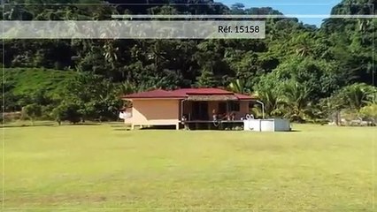 A vendre terrain agricole de 24 464M2 + maison F3 à Papara