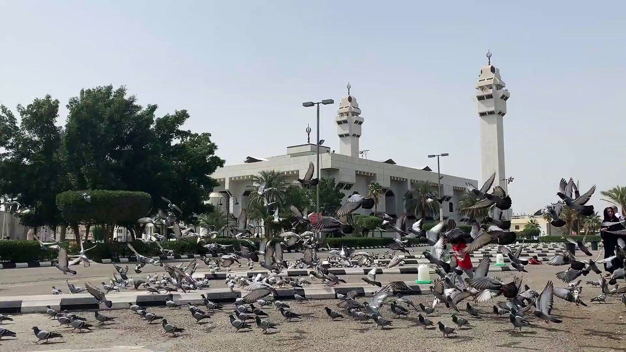 Two_Kids_Chasing_The_Pigeons_On_A_Parking_Lot