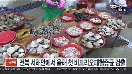 전북 서해안에서 올해 첫 비브리오패혈증균 검출